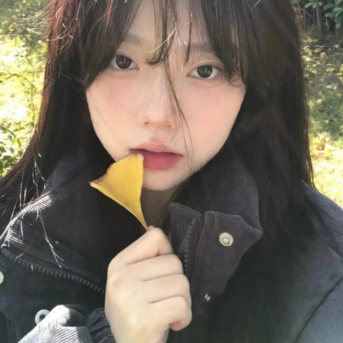 疯狂的豆子